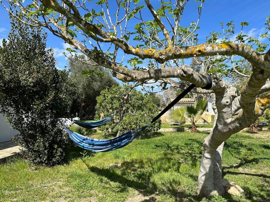 Villa Finca Roberto à Can Picafort  Extérieur photo