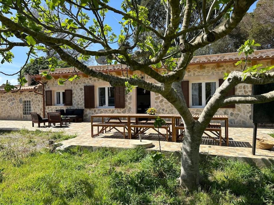 Villa Finca Roberto à Can Picafort  Extérieur photo
