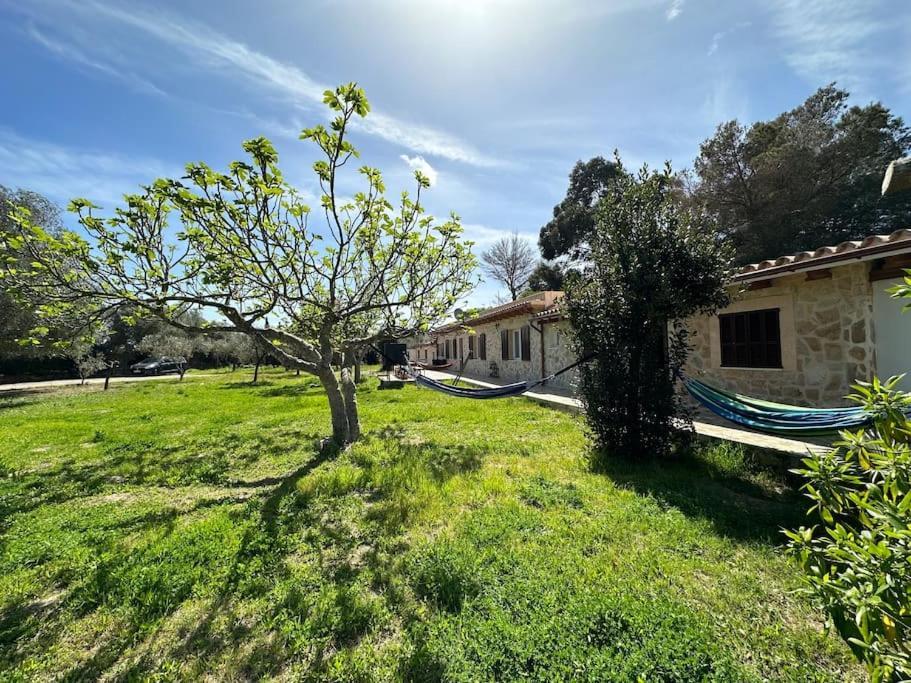 Villa Finca Roberto à Can Picafort  Extérieur photo