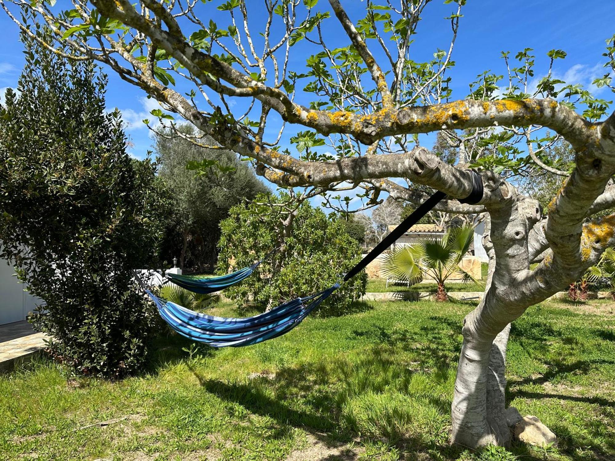 Villa Finca Roberto à Can Picafort  Extérieur photo